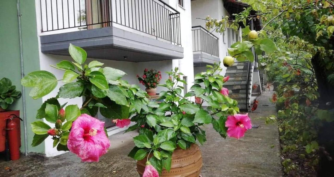 Meteora Garden Bed & Breakfast Kalambaka Bagian luar foto
